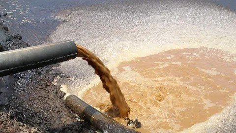 Palm Oil Mill Effluent