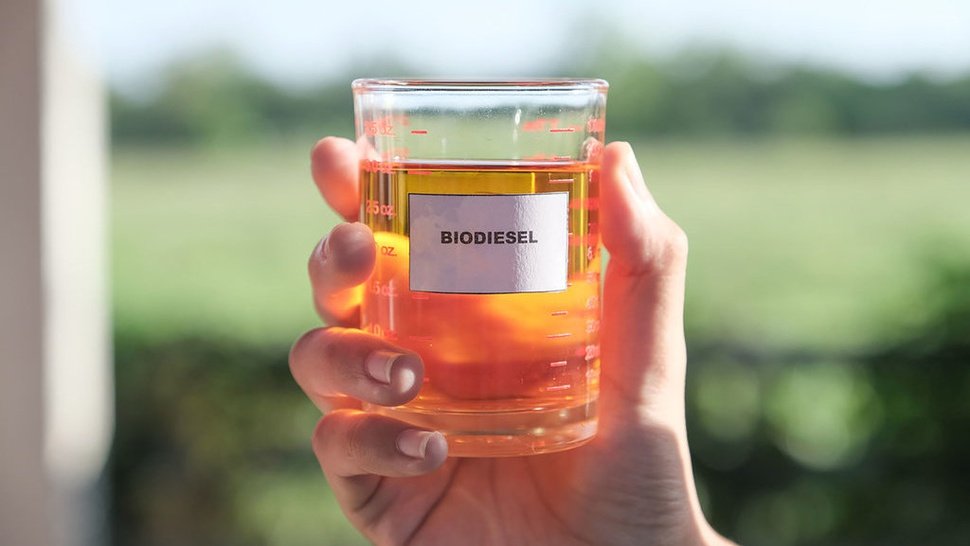 biodiesel